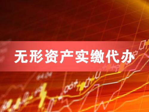 北海无形资产实缴资本代办